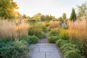 September Sunrise in a Scree Garden