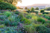 A Quiet Sunset in a Country Garden