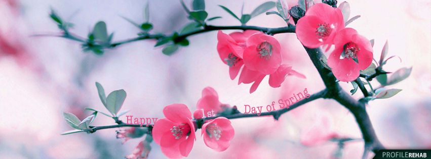 Free Spring Facebook Covers For Timeline Pretty Spring Season Timeline Covers For Facebook