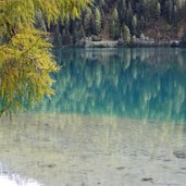 Naturlehrpfad Antholzer See passeggiata lago anterselva autunno herbst