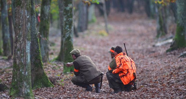 Des chasseurs avec leur guide montrant les animaux à tirer en Sologne. ©AFP - Antoine LORGNIER