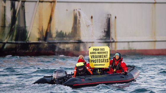 Dans l'aire marine protégée du Banc des Flandres, des militants de Greenpeace près d'un navire de pêche industrielle