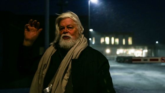 Paul Watson à sa libération le 17 décembre 2024 à Nuuk, au Groënland