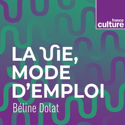 La vie mode d'emploi