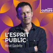 Logo l'Esprit public