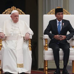 Pope praises Indonesians for choosing children over cats