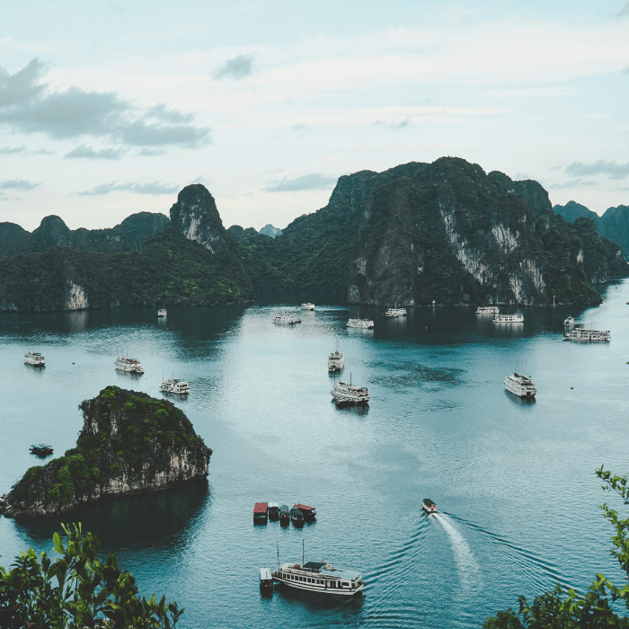 LBMA Reports: Spotlight on Vietnam