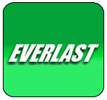 everlastgenerators.com