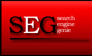 search engine optimization