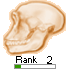 Human Skull Pagerank Button 