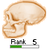 Human Skull Pagerank Button 