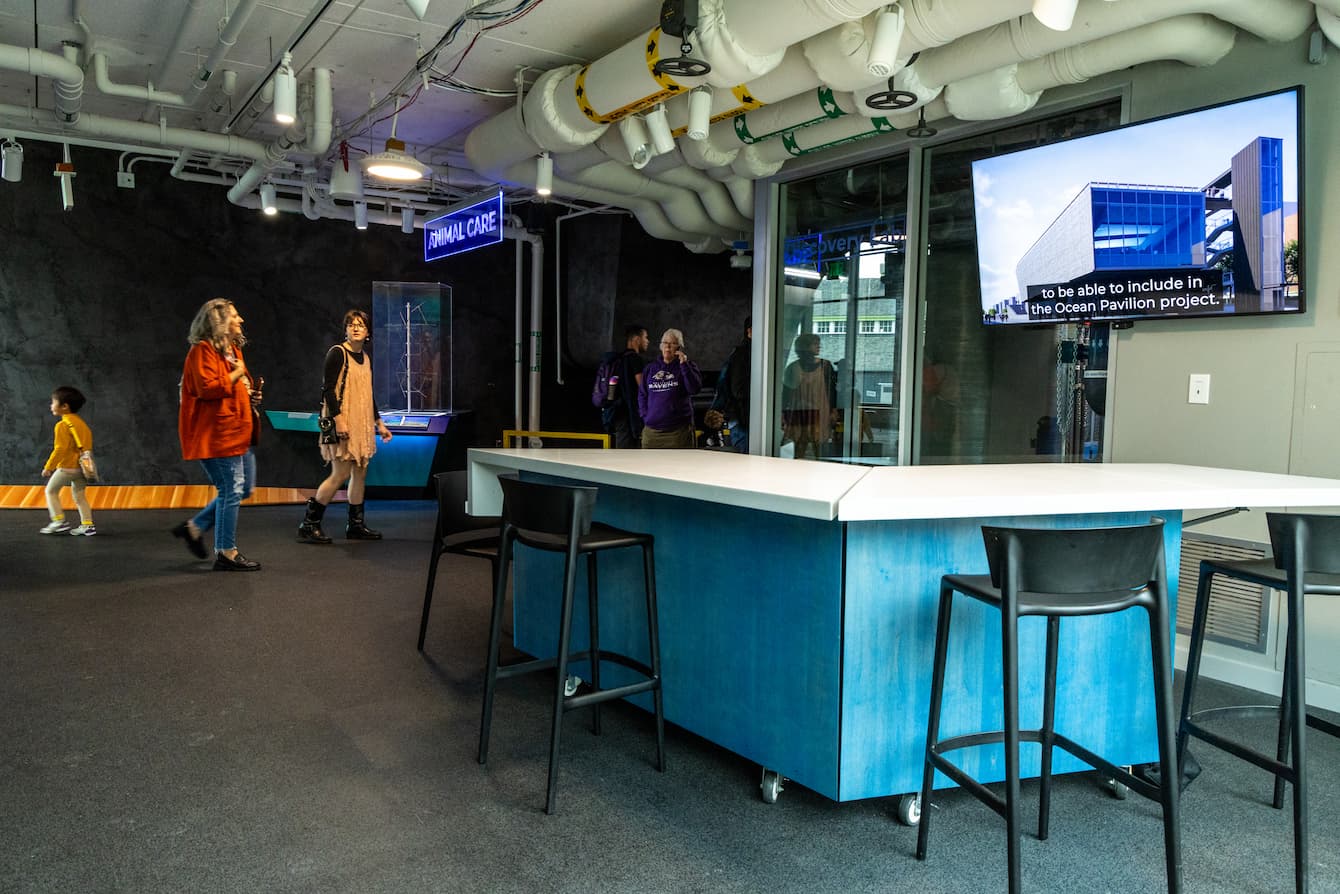 The Discovery Lab space in the Ocean Pavilion.