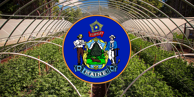 https://www.security101.com/hubfs/blog-files/Security-requirements-for-the-cannabis-industry-in-Maine.png