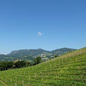 RS proesler ried weinberg dahinter ritten unterinn