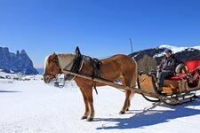 Skigebiet Seiser Alm Pferd Kutsche Schnee Schlern