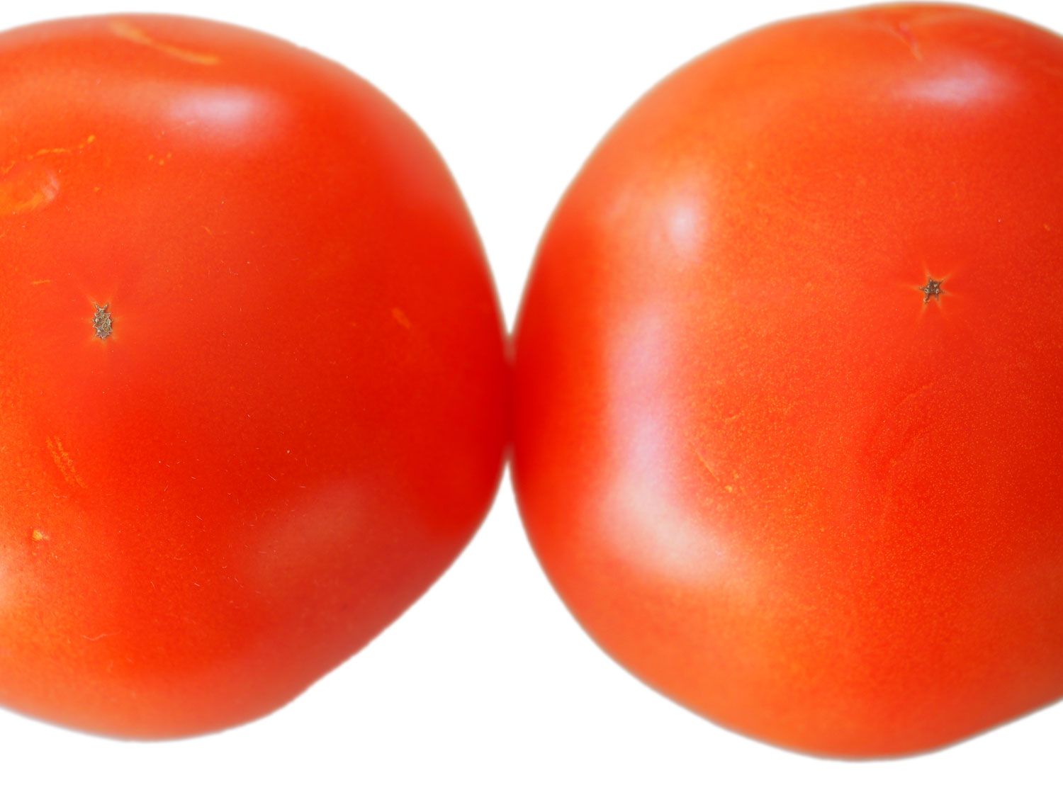Overhead of two red and plump tomatoes resting side by side on a white surface. After 24 hours, the counter tomato, at left, was redder than its refrigerator counterpart.