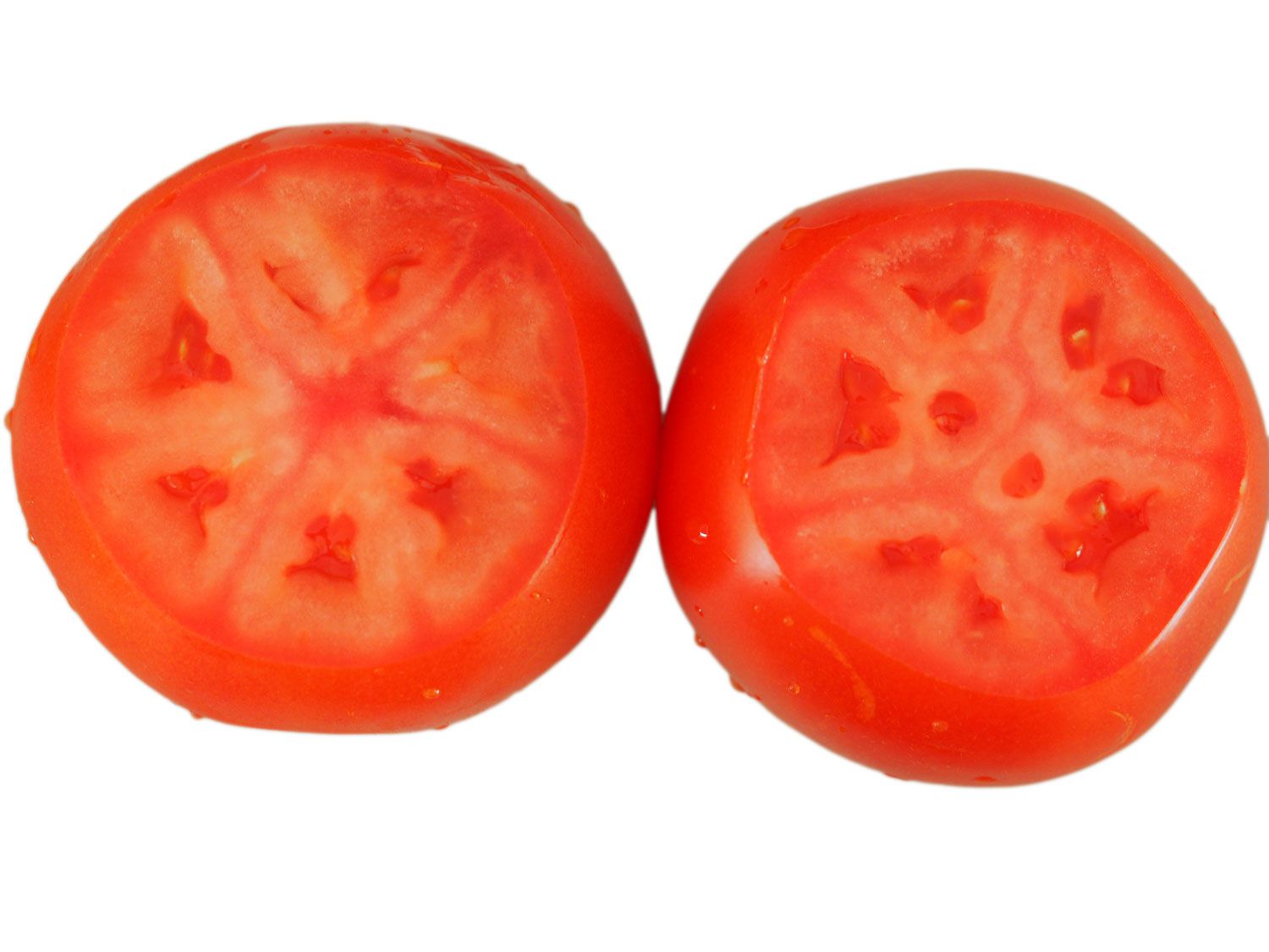 Overhead view of two tomatoes with their top cut off so you can see inside. Here, the refrigerated sample is to the left, with a slightly lighter, less red color, though the difference is just barely visible.