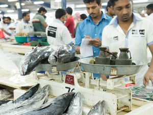 20140807-dubai-fish-market-weighing-naomi-bishop.jpg