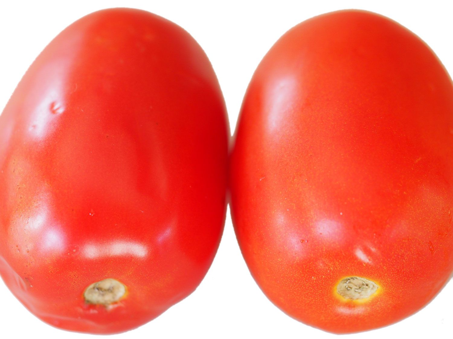 Overhead of two plum tomatoes resting next to each other on a white surface.