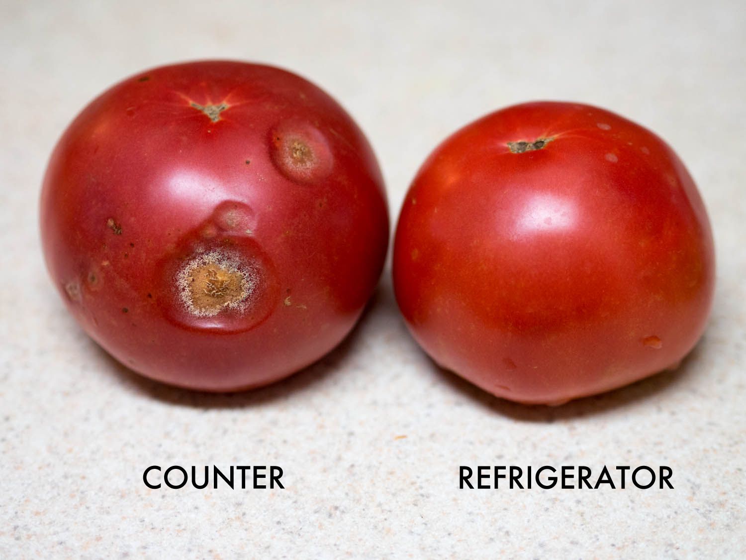 A tomato on the left that has been stored on the countertop for four days and has started to rot, next to a tomato on the right that was stored in the refrigerator for the same amount of time, which is still unspoiled.