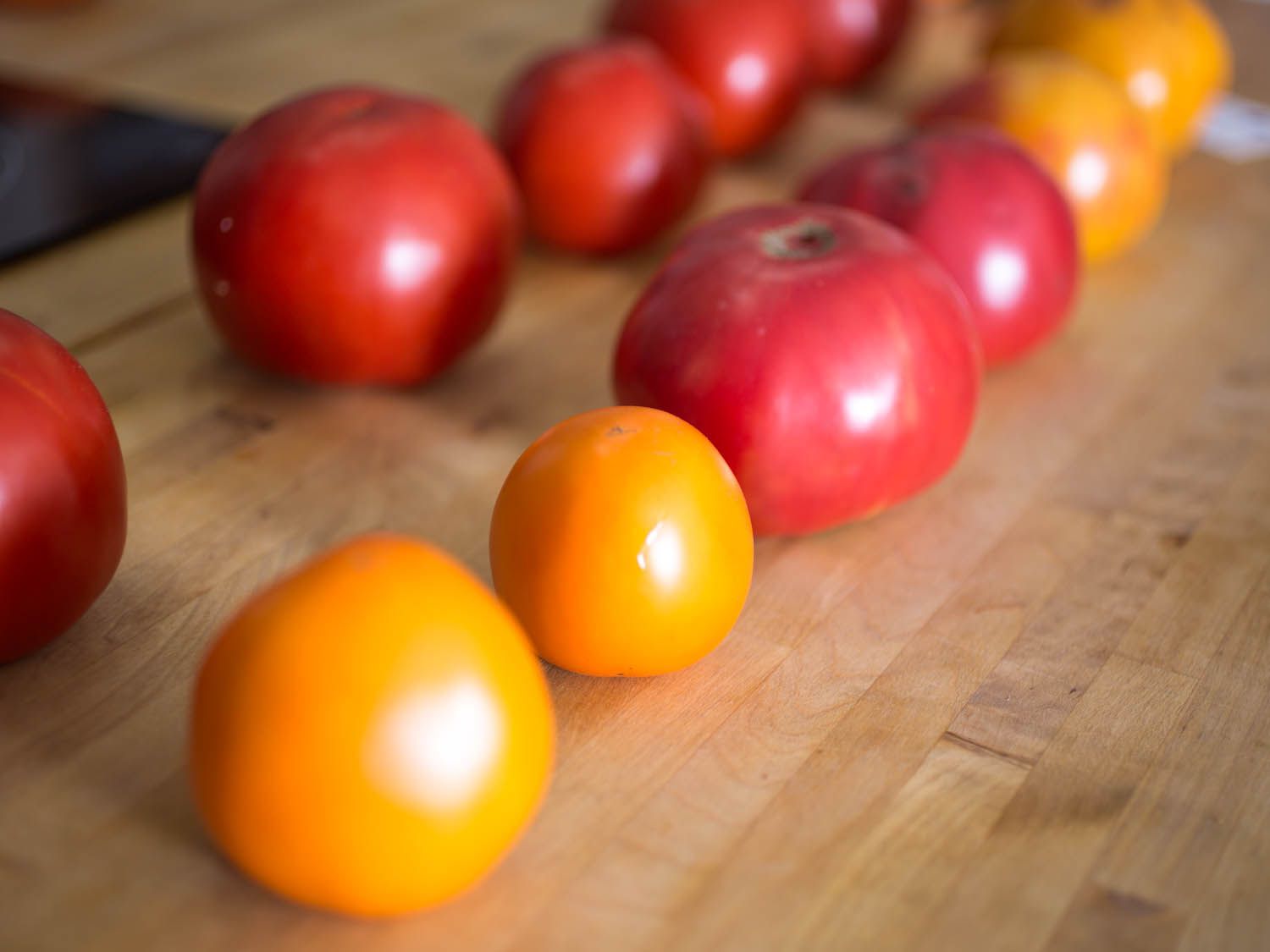 Various tomatoes of different sizes, shapes, and colors all lined up on a wooden cutting board.