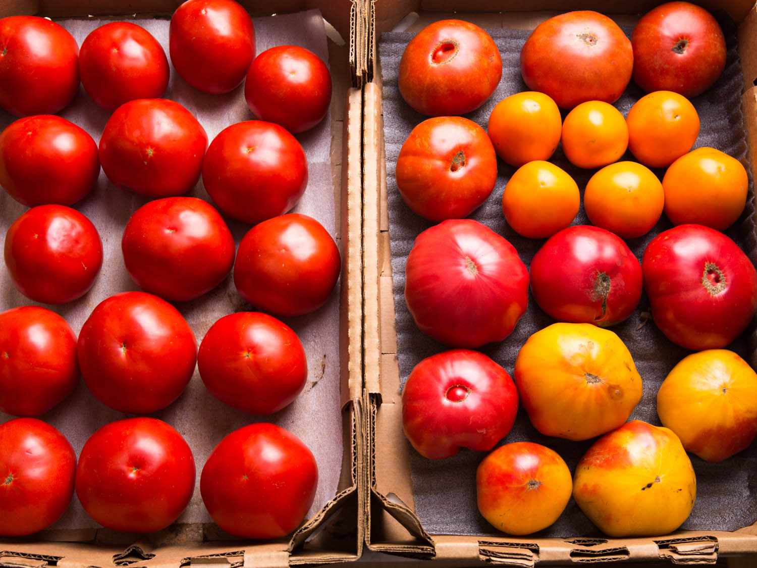 An overhead of two boxes full of tomatoes. The left box contains all the same type of red tomato and the right box contains tomatoes of various colors and sizes.