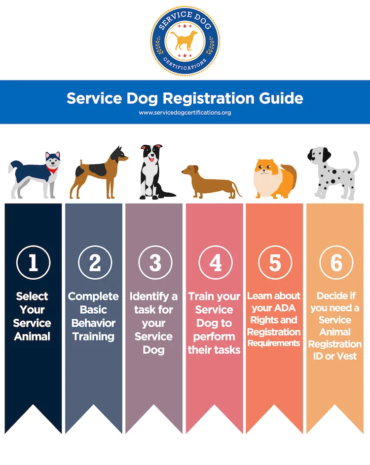 Service Dog Registration Guide (infographic)