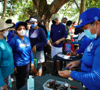 Passeio Marisqueiras