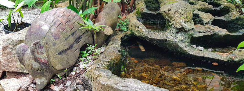 Fotografia no Viveiro de Plantas no Sesc Interlagos mostra um pequeno lago decorado com pedras, plantas e uma escultura de madeira de um tatu.