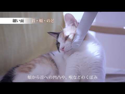 Japanese Cat Tongue Groomer Brush CAT WATAOKA