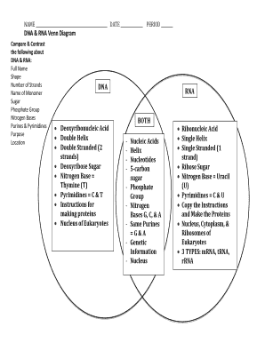 Venn Diagram Comparing Dna And Rna