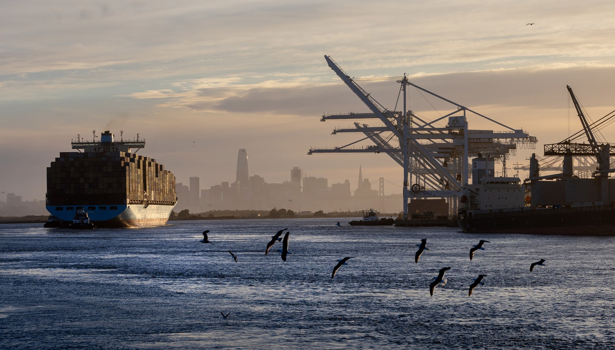 The arrival of the cargo ship Gerner Maersk is viewed from aboard the Port of Oakland's free monthly cruise boat ride, Friday evening, June 14, 2024, in Oakland, Calif. (Karl Mondon/Bay Area News Group)