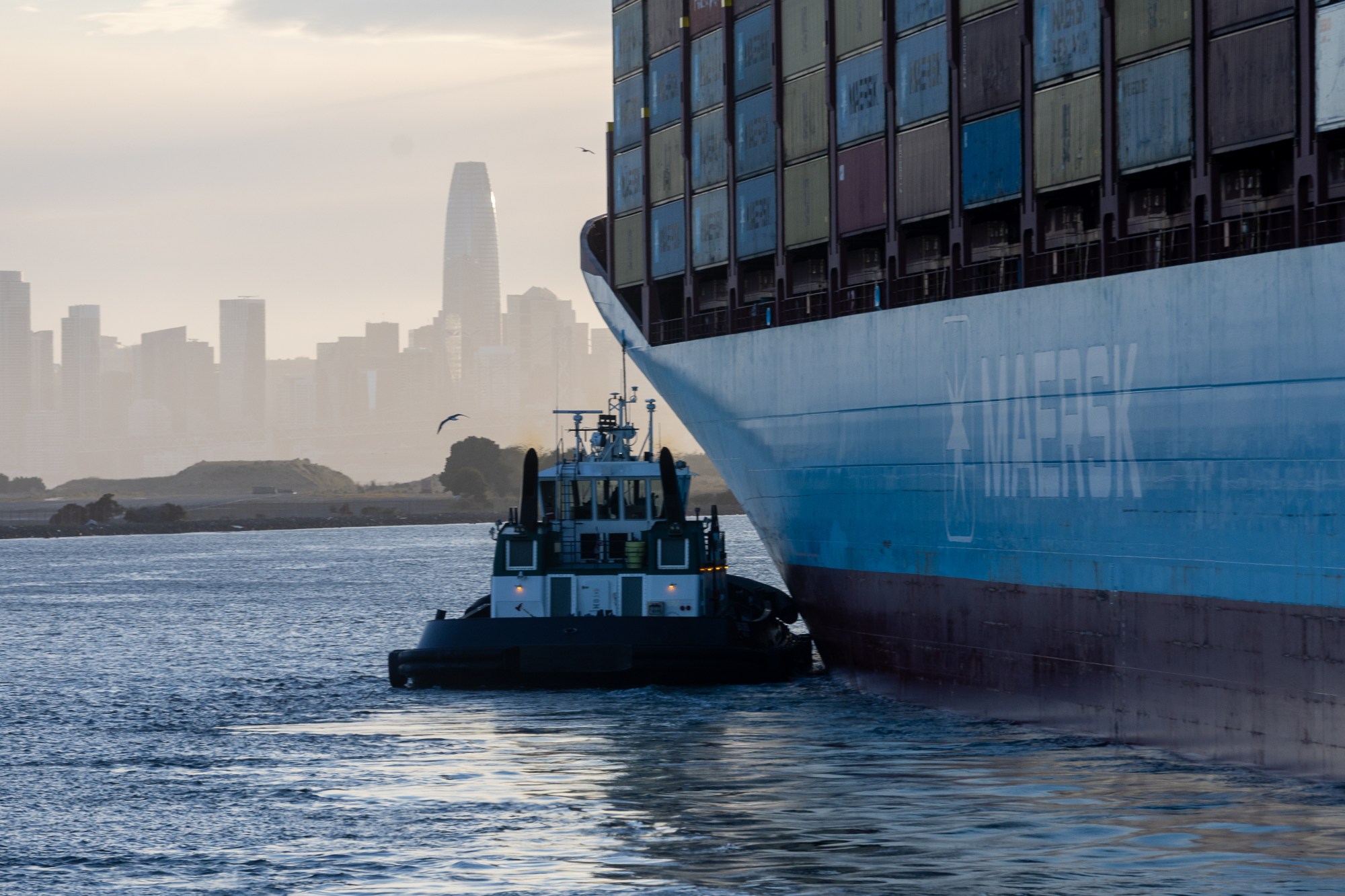 The arrival of the cargo ship Gerner Maersk is viewed from aboard the Port of Oakland's free monthly cruise, Friday evening, June 14, 2024, in Oakland, Calif. (Karl Mondon/Bay Area News Group)