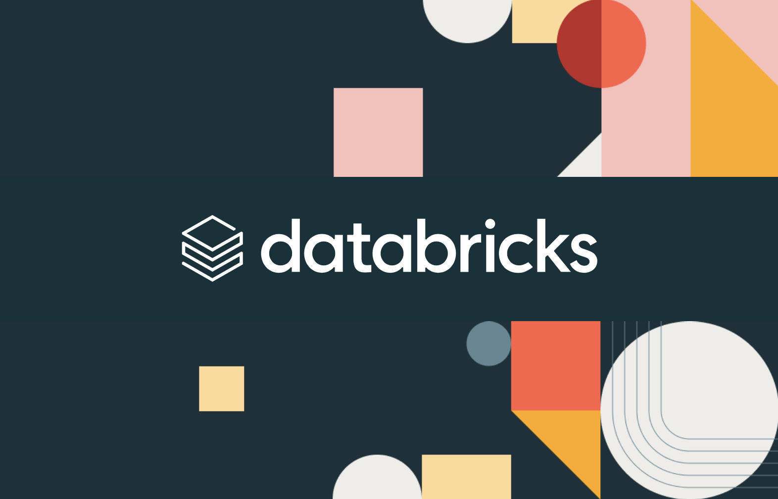 Databricks Partner