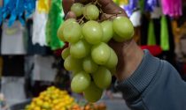 Doce uvas al 2025