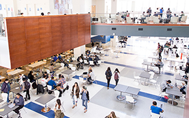 students gathering in student union