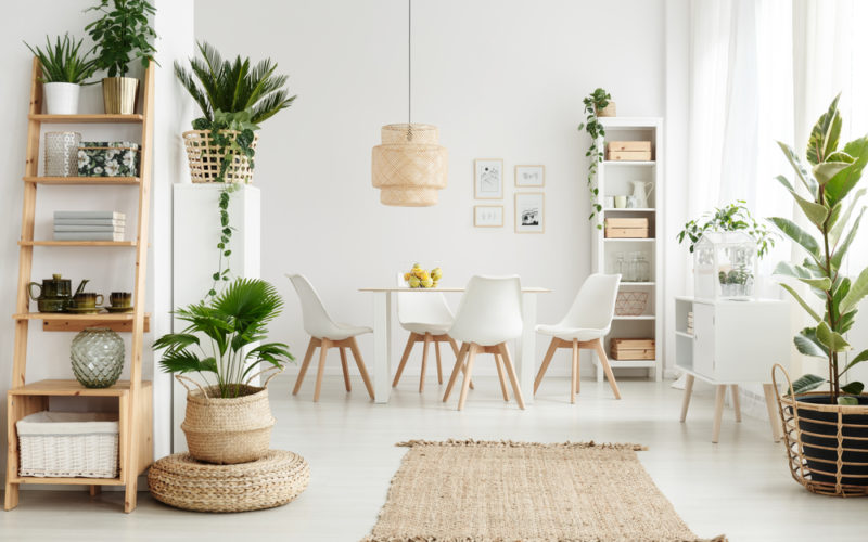 10 Tips On How To Decorate Your With Plants In Your Home