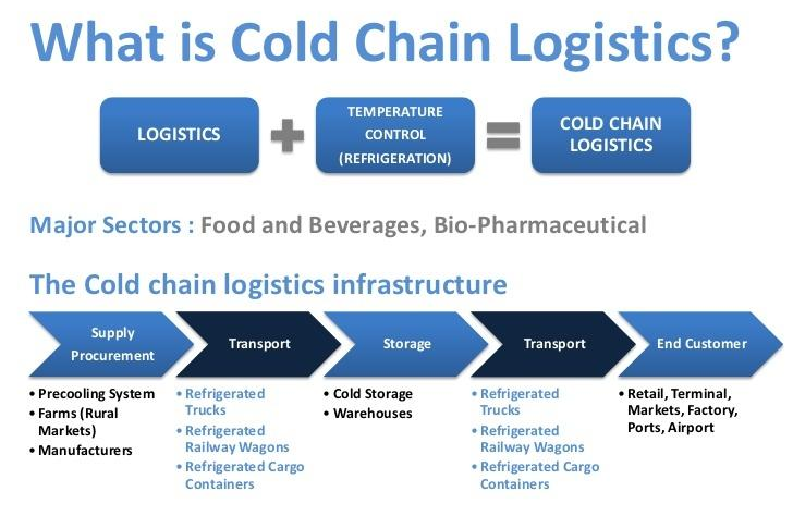 Infographic showing what is cold chain logistics