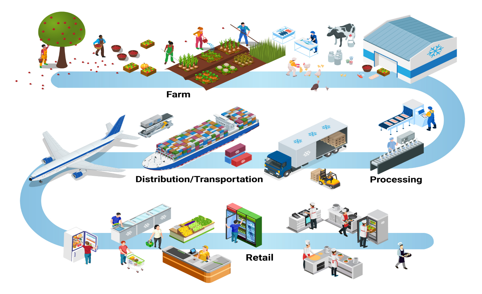 cold chain logistics process