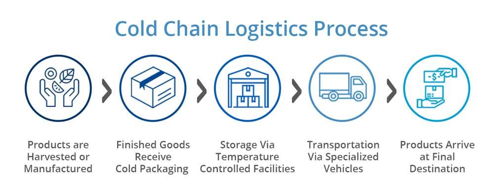 process of cold chain logistics