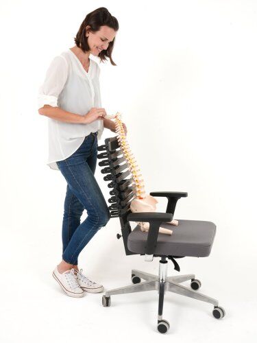 Cadeira Ergonômica Modelo Slim - Spalt - Sua Coluna Merece Cuidado