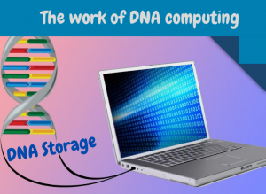 dna computing