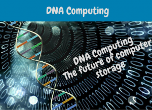 dna computing basics