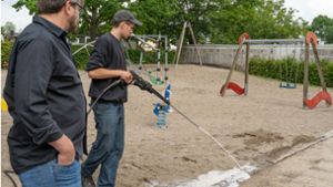 Plage in Kehl: Ameisen zerstören Spielplätze und Internet