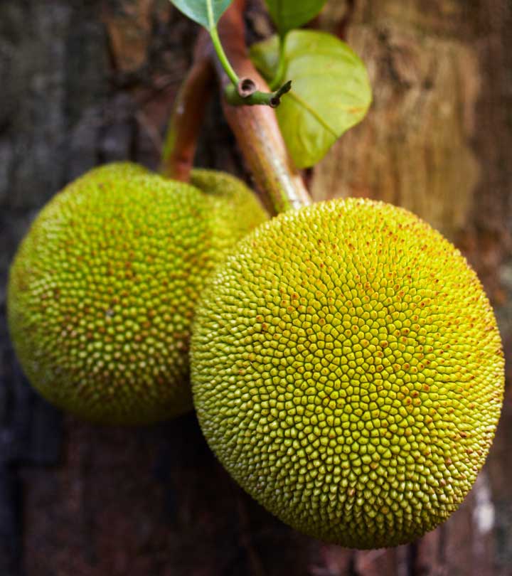 Breadfruit Benefits for Skin, Hair, and Health