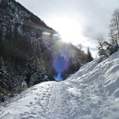 winterwald valser tal schnee weg nr