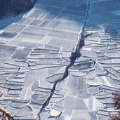 vinschgau obstwiesen im winter bei tarsch latsch