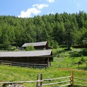 platzalm im biotop huehnerspiel fr