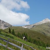 blick auf bairnock und riedspitze