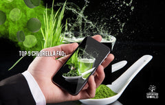 Top 5 Chlorella FAQs